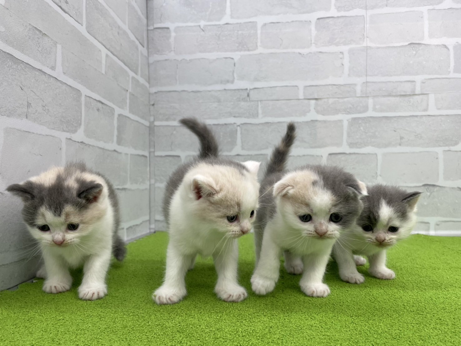 赤ちゃん写真2-3