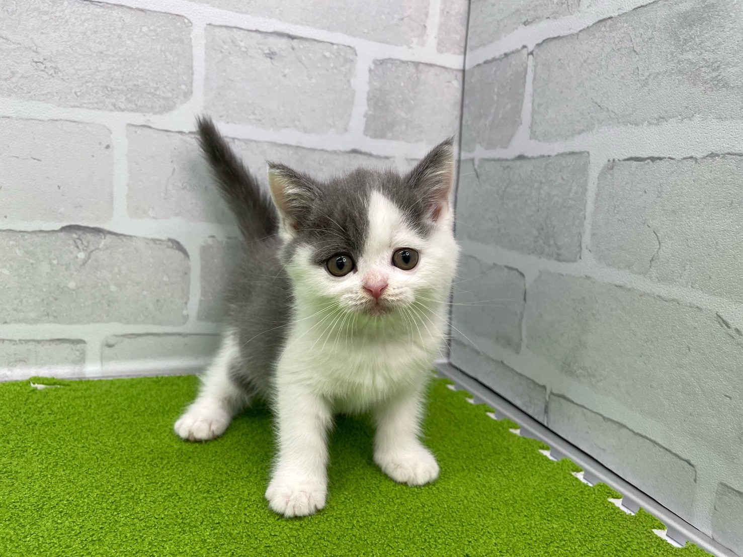 赤ちゃん写真3-1