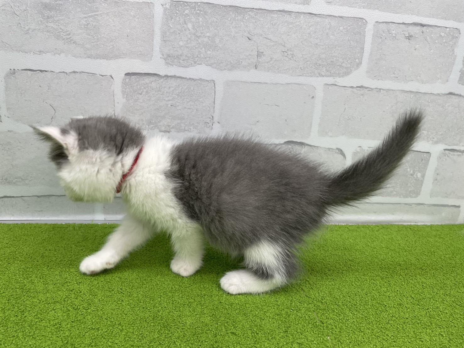 赤ちゃん写真3-2