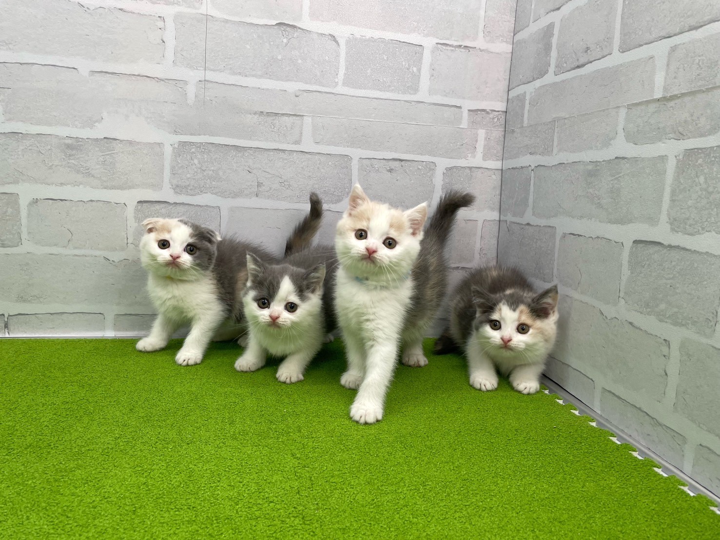 赤ちゃん写真3-3