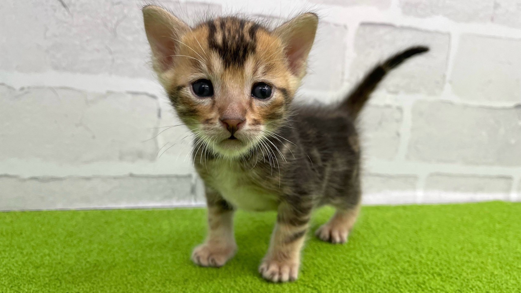 赤ちゃん写真2-1