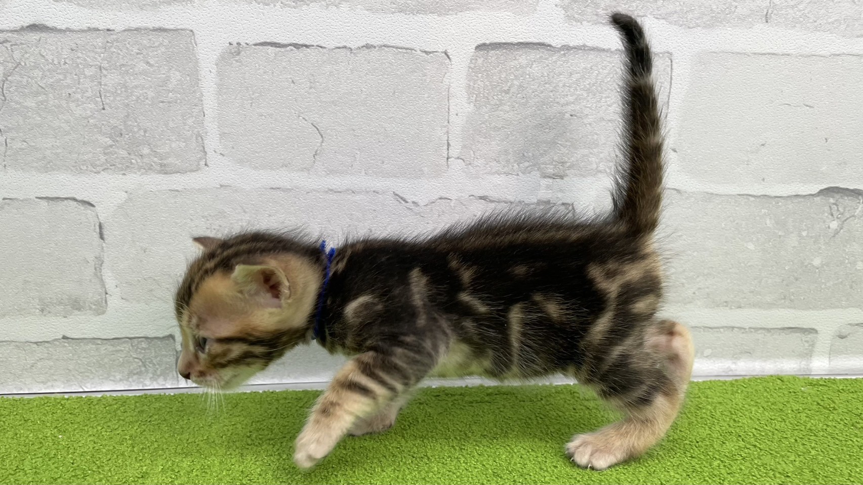 赤ちゃん写真2-2