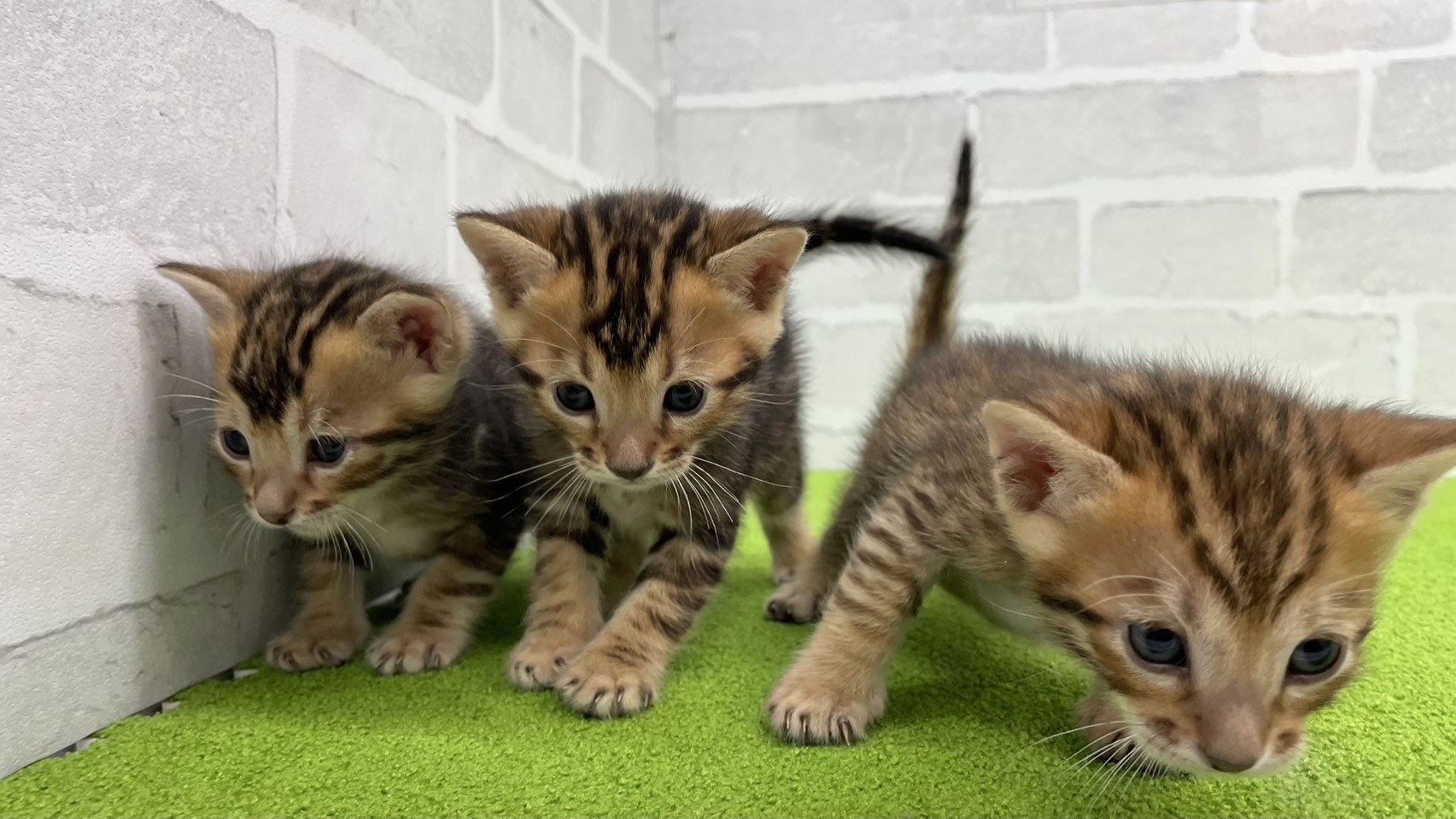 赤ちゃん写真2-3