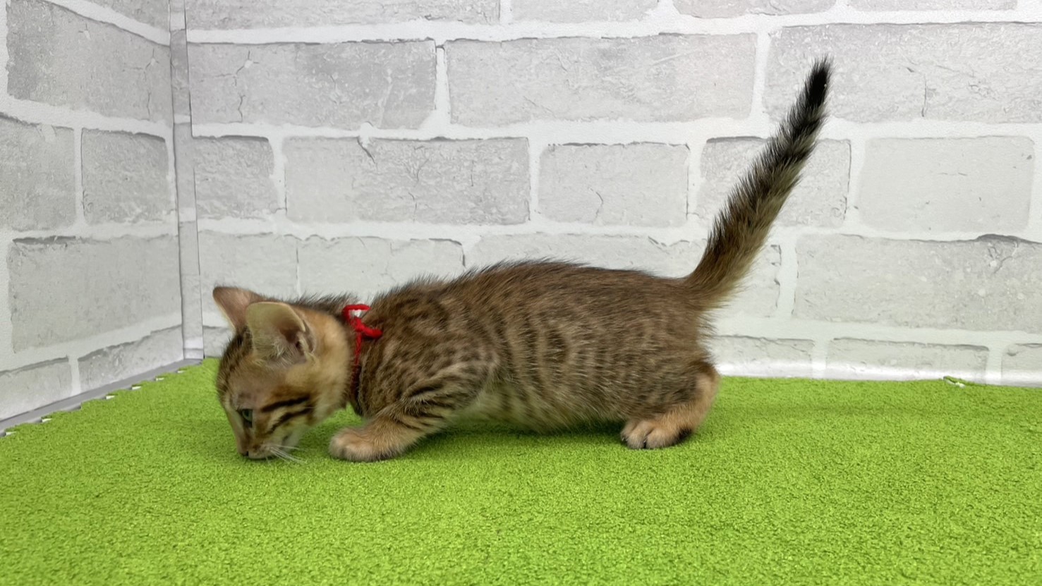 赤ちゃん写真3-2