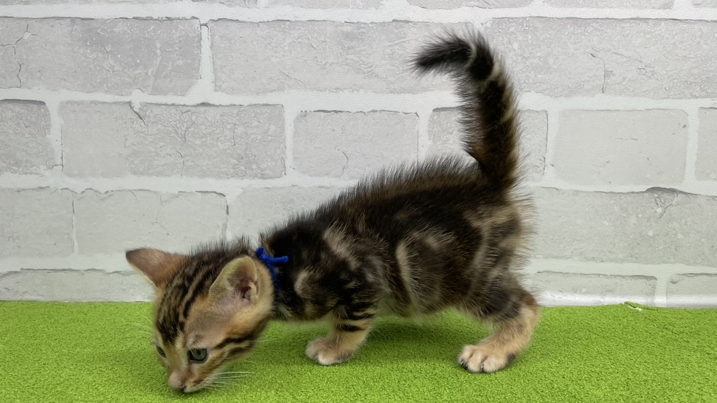 赤ちゃん写真3-2