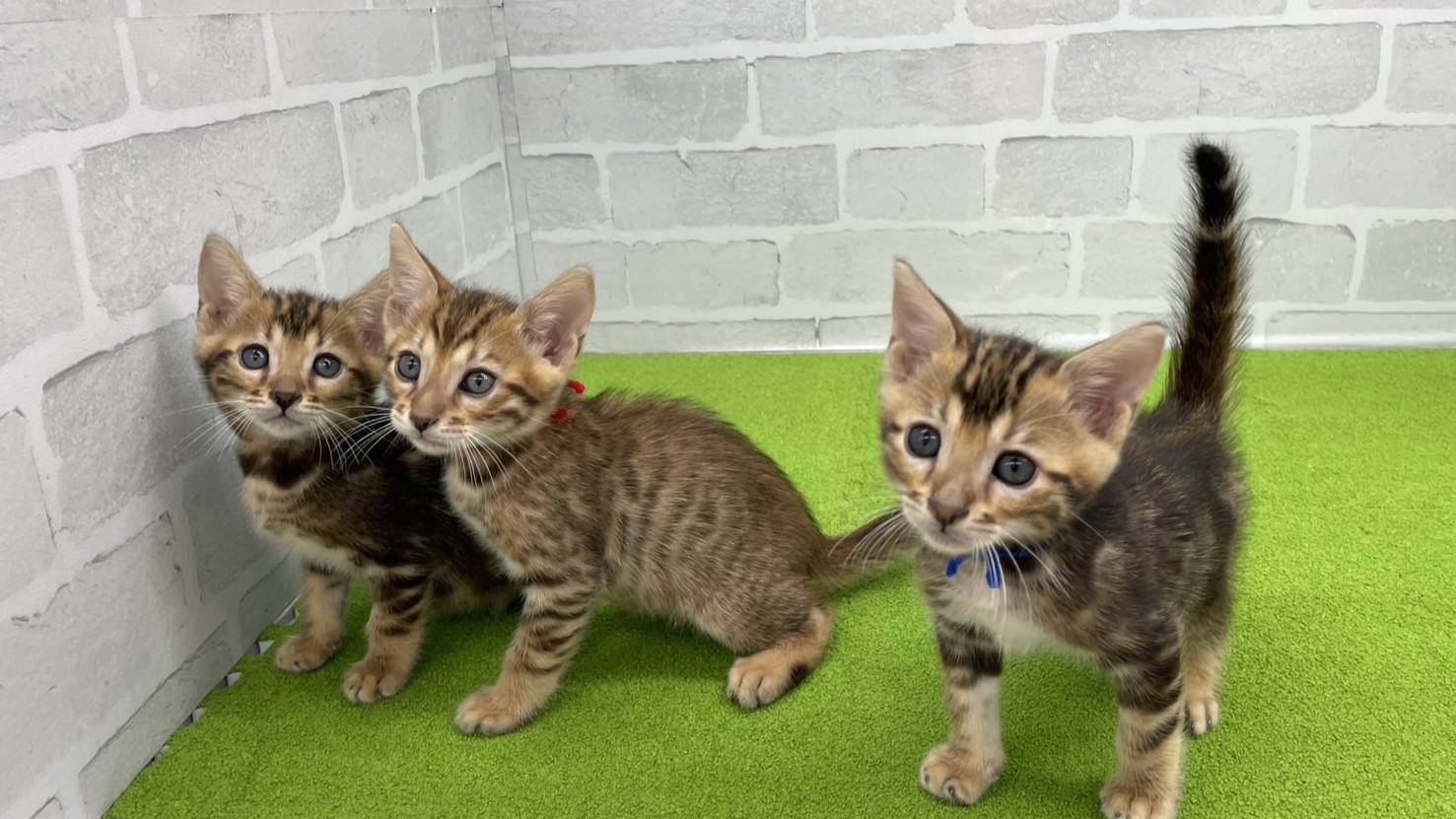 赤ちゃん写真3-3