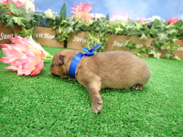 赤ちゃん写真1-2