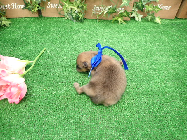 赤ちゃん写真1-3