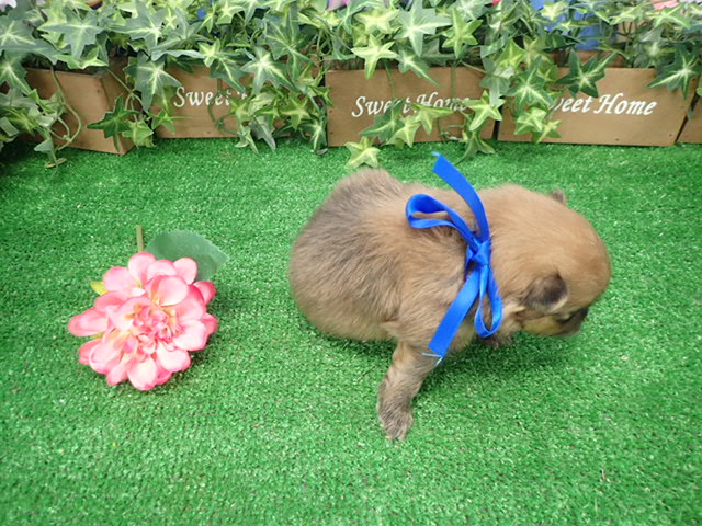 赤ちゃん写真2-3