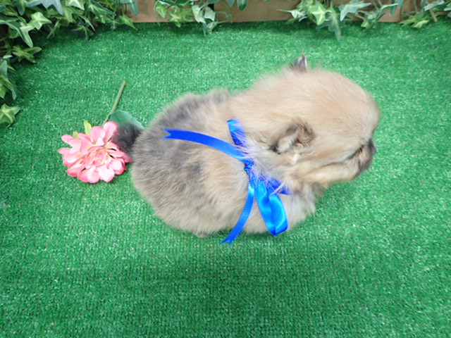 赤ちゃん写真3-3