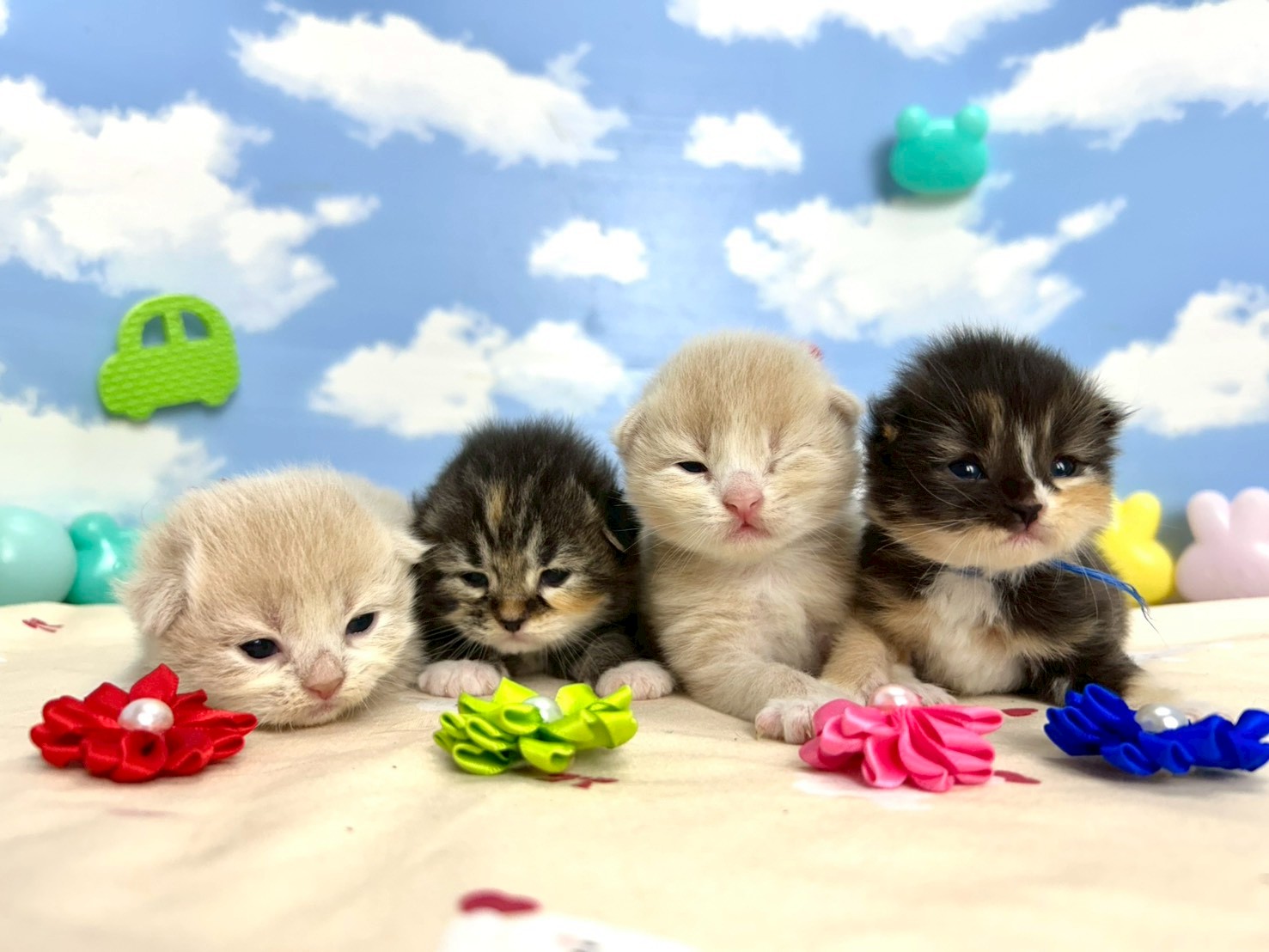 赤ちゃん写真1-3