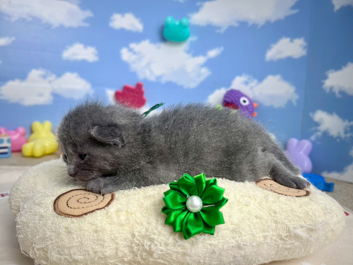 赤ちゃん写真1-2