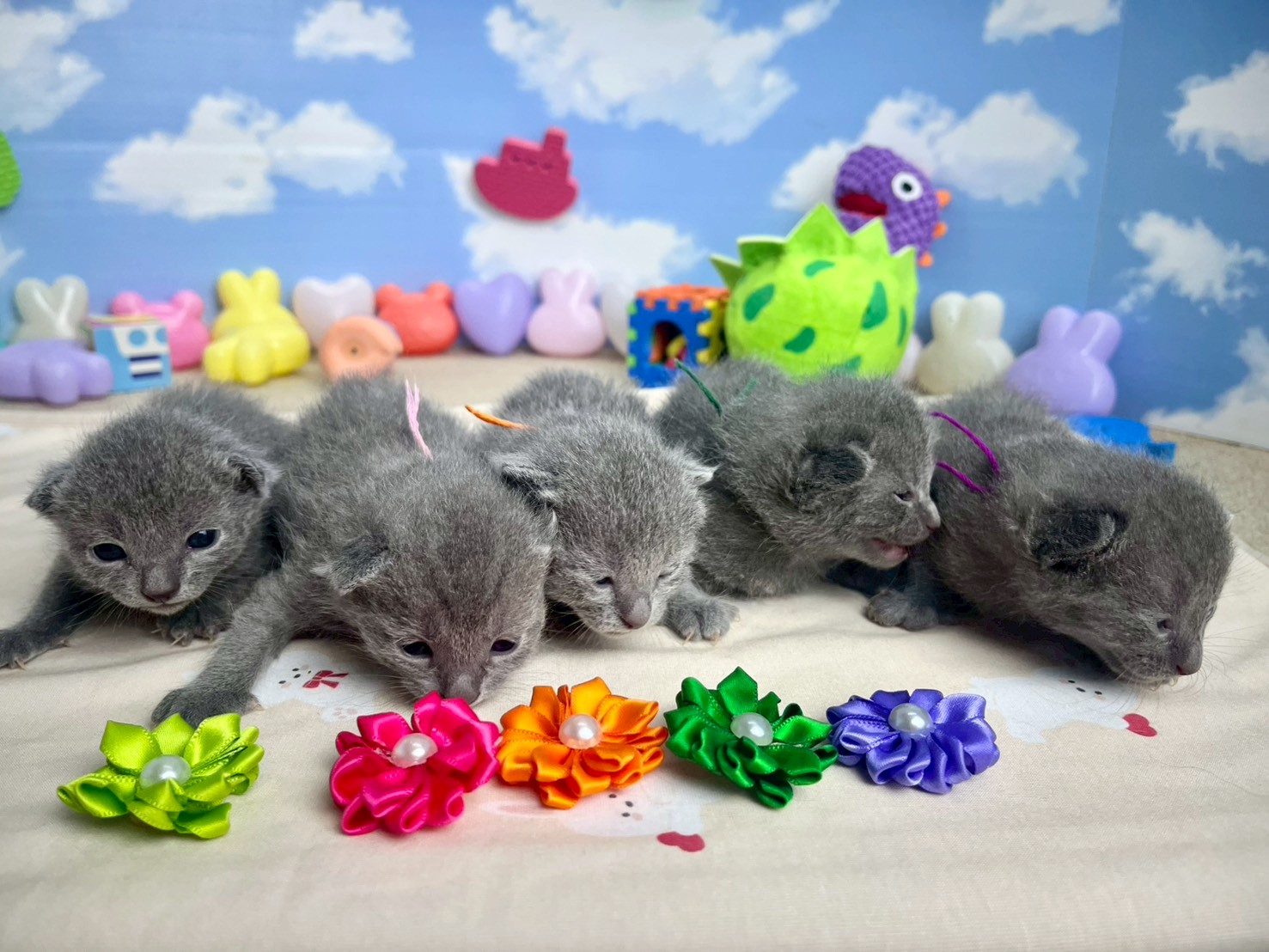 赤ちゃん写真1-3