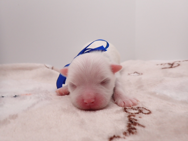 赤ちゃん写真1-1