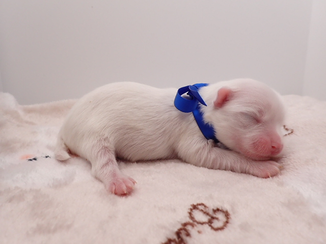 赤ちゃん写真1-2