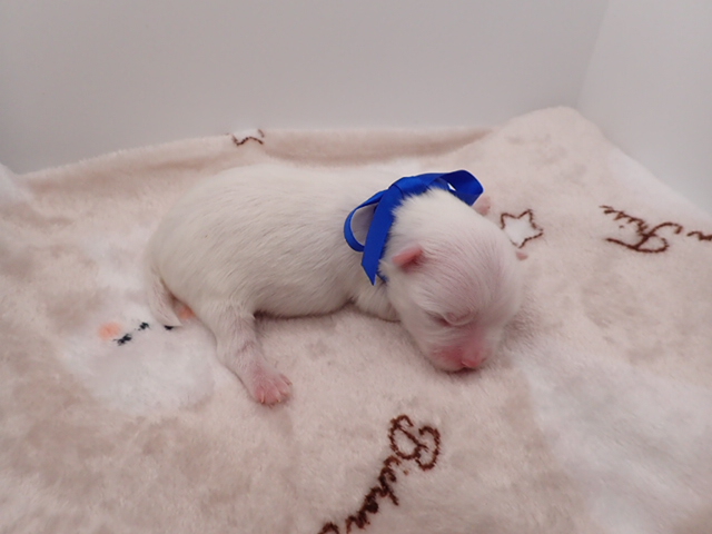 赤ちゃん写真1-3