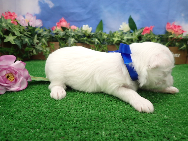 赤ちゃん写真2-2