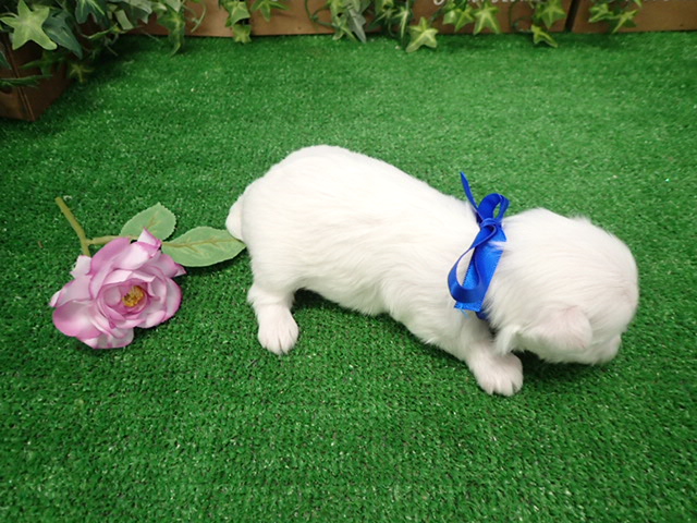 赤ちゃん写真2-3