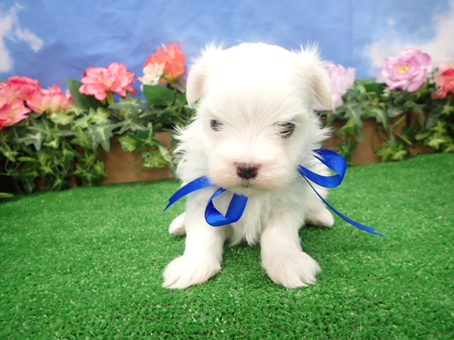 赤ちゃん写真3-1