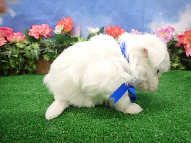 赤ちゃん写真3-2