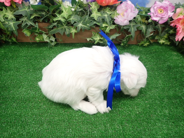 赤ちゃん写真3-3