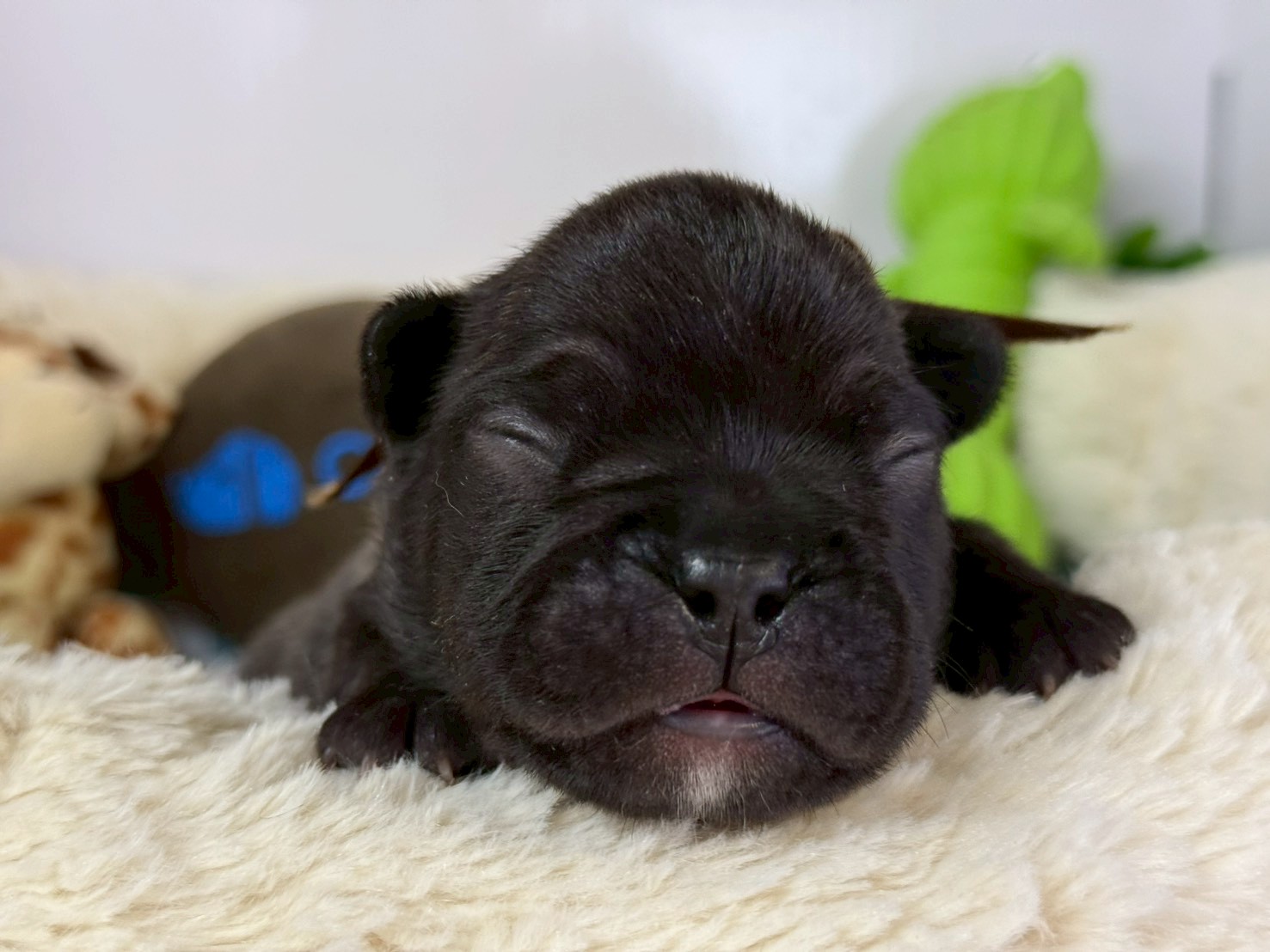 赤ちゃん写真1-1