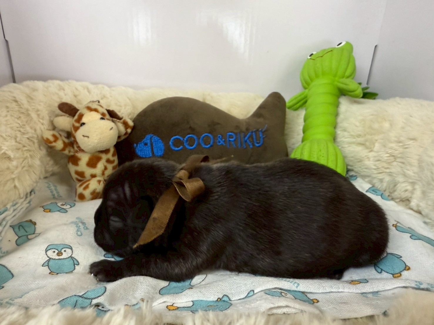 赤ちゃん写真1-2