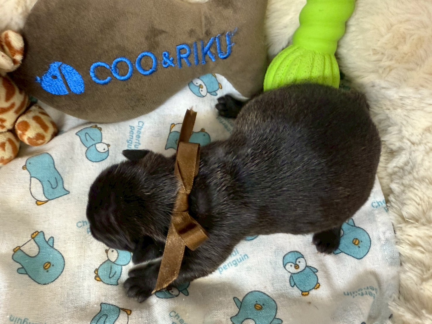 赤ちゃん写真1-3