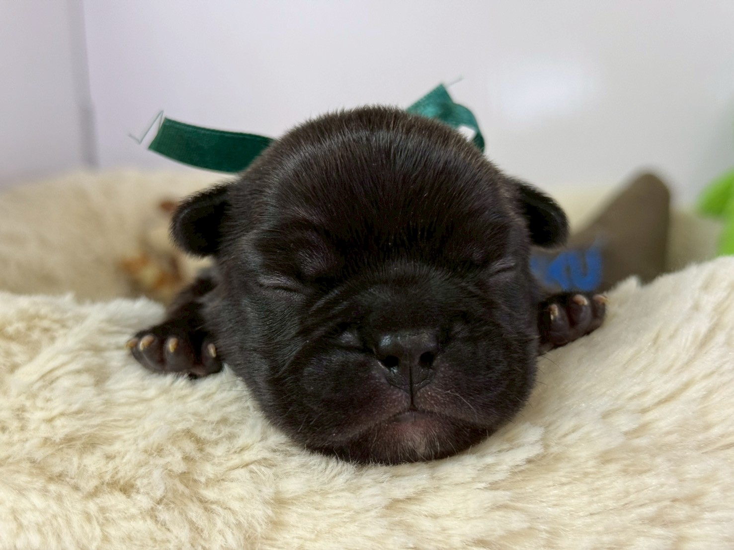 赤ちゃん写真1-1