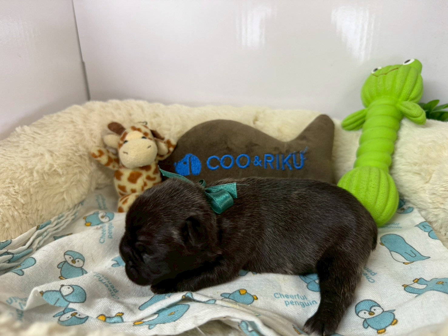 赤ちゃん写真1-2