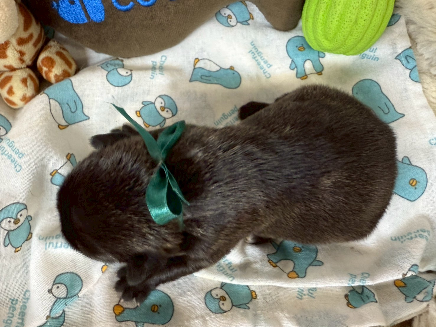 赤ちゃん写真1-3