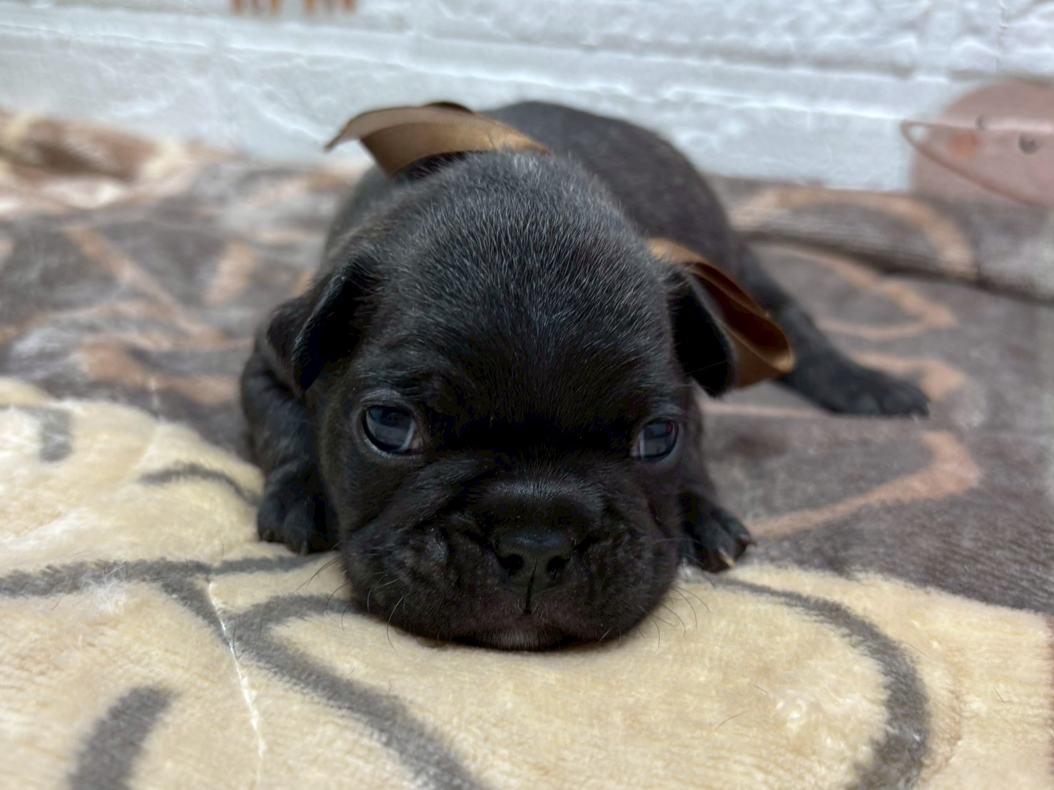 赤ちゃん写真2-1