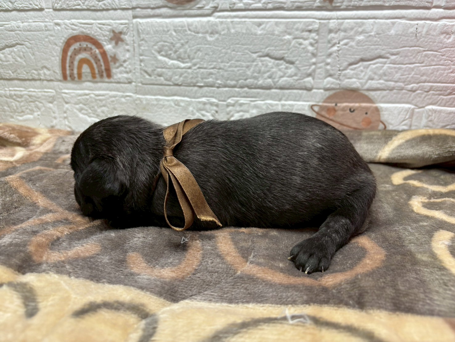 赤ちゃん写真2-2