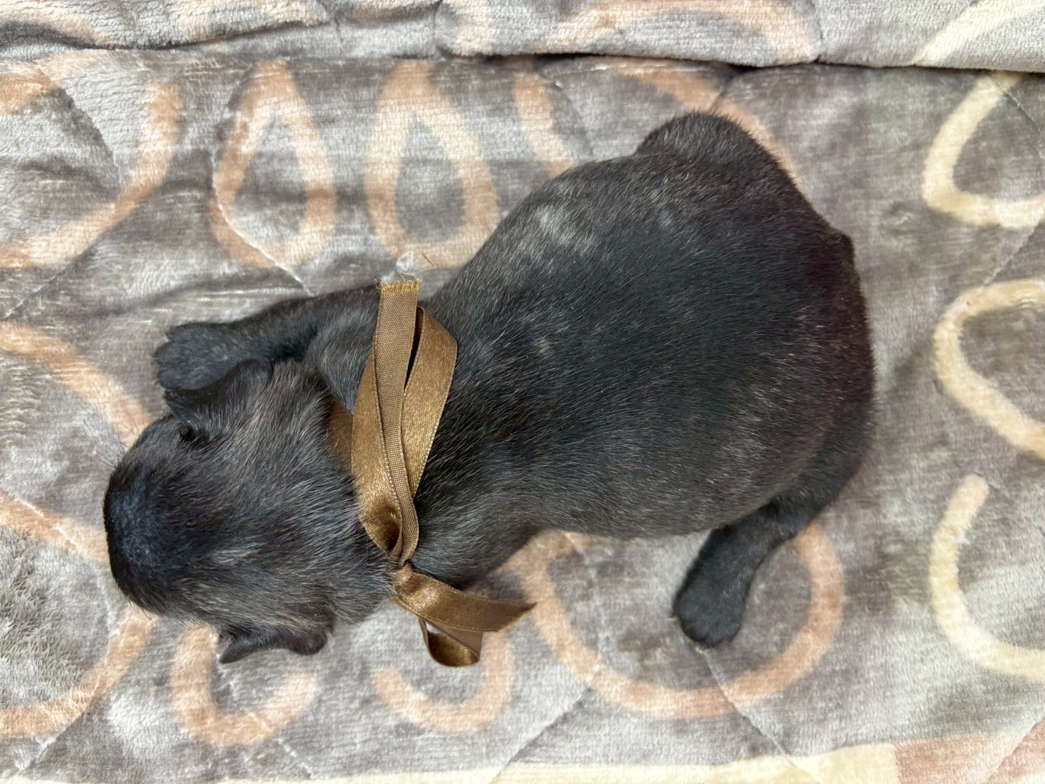 赤ちゃん写真2-3