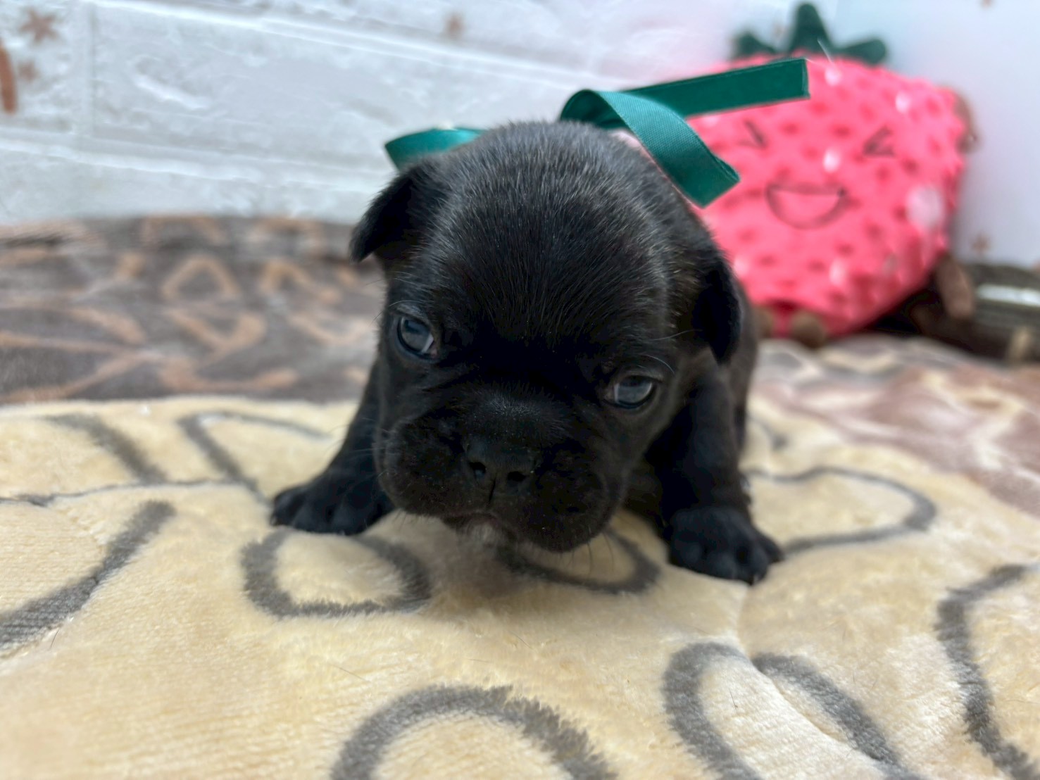 赤ちゃん写真2-1