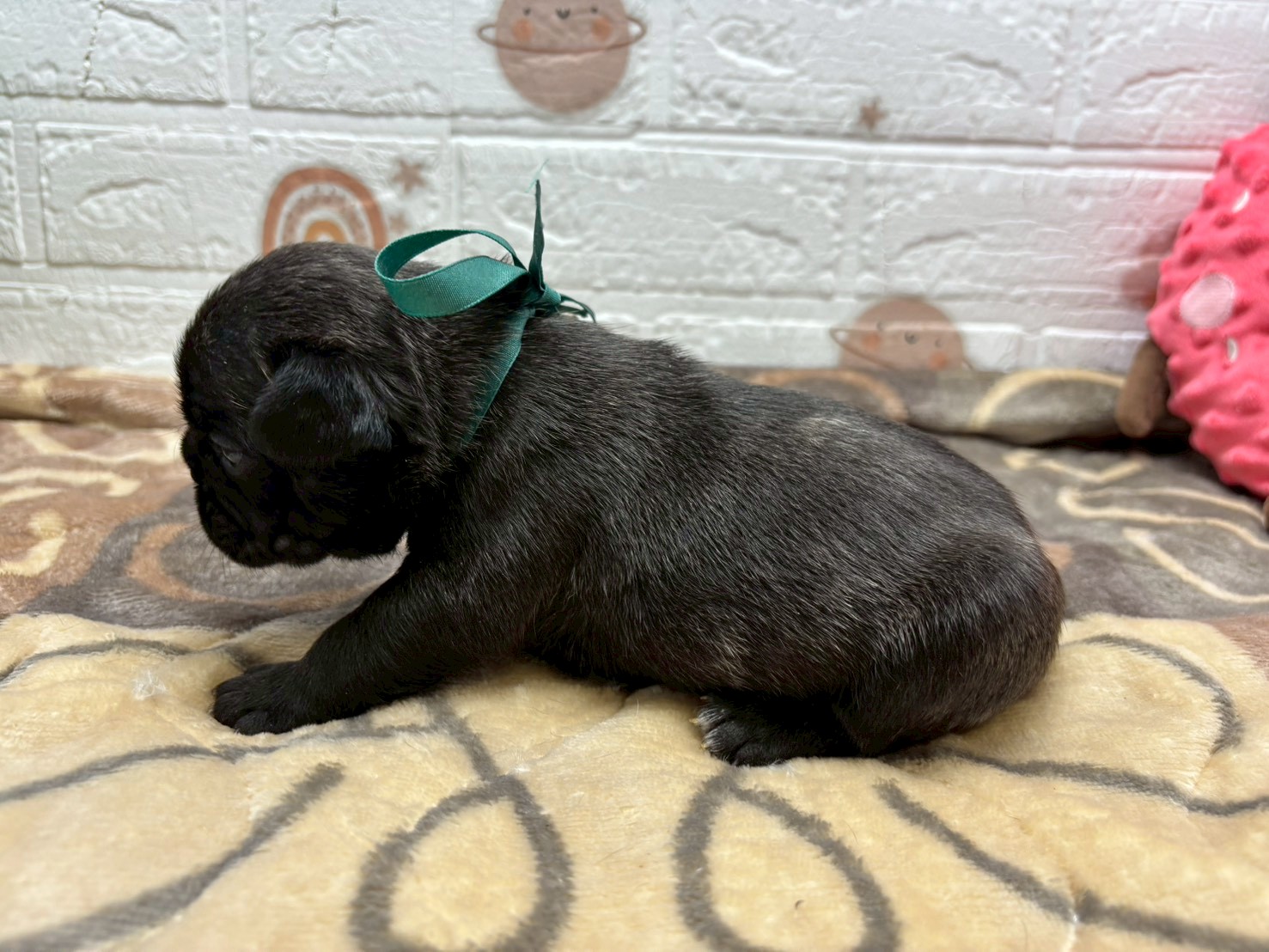 赤ちゃん写真2-2