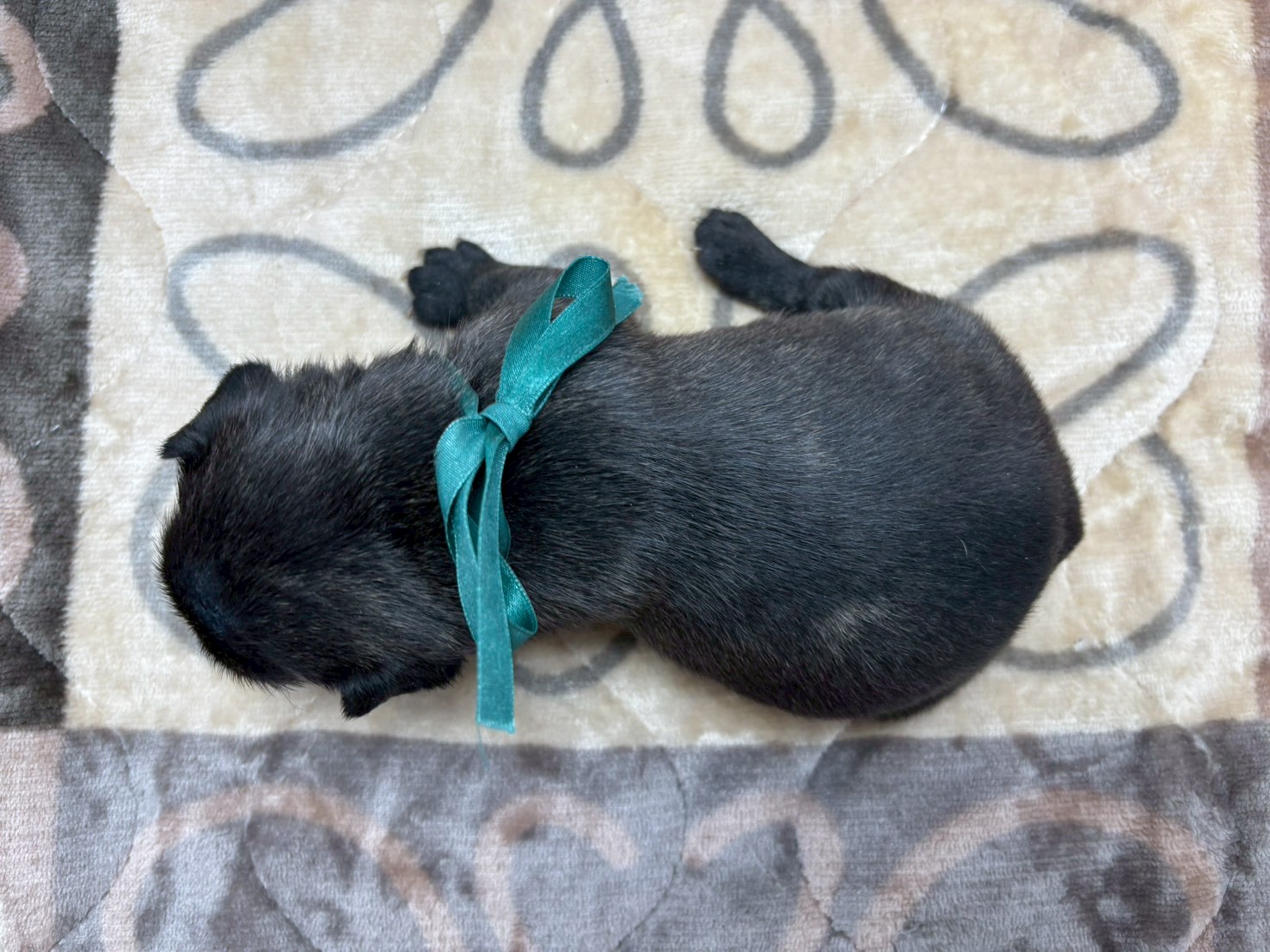 赤ちゃん写真2-3