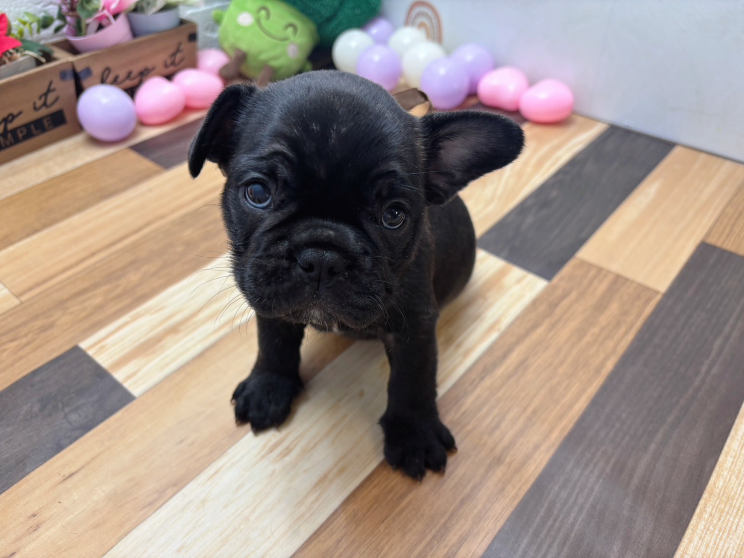 赤ちゃん写真3-1