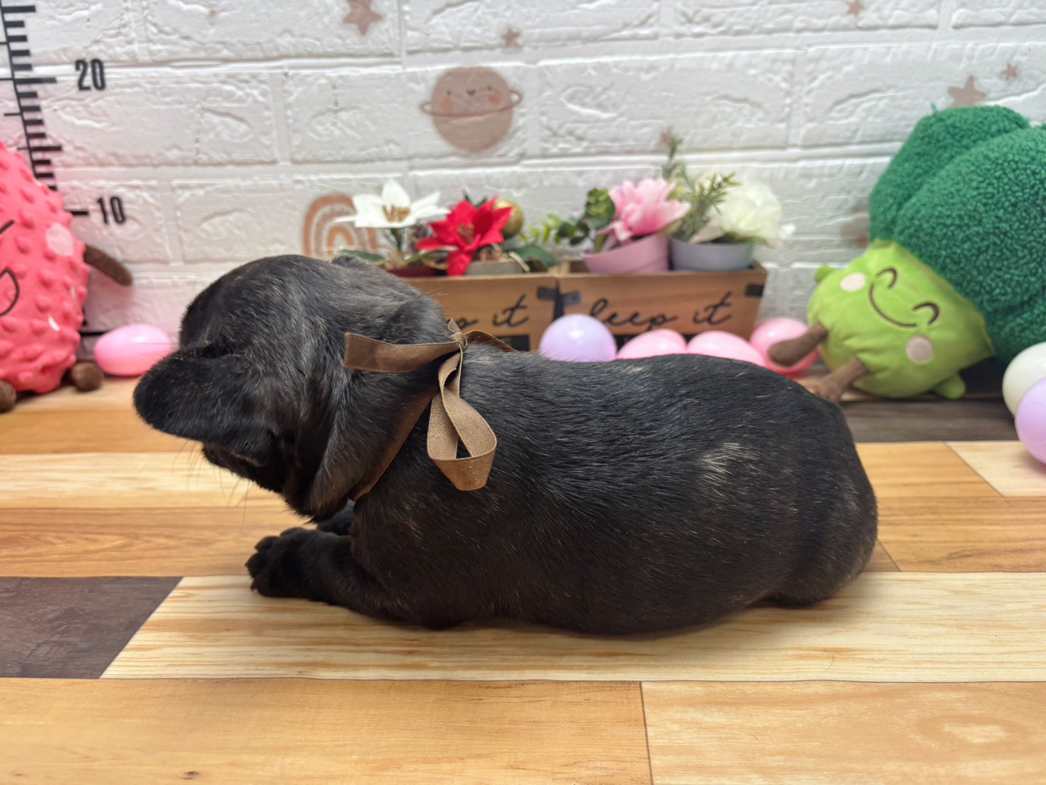 赤ちゃん写真3-2