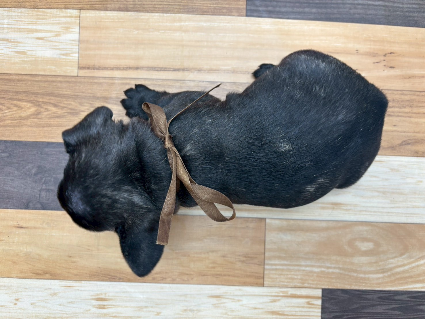 赤ちゃん写真3-3