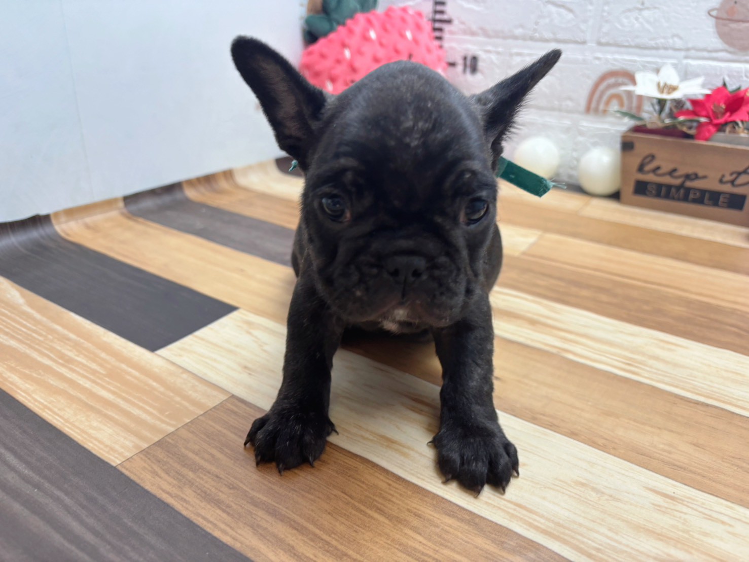 赤ちゃん写真3-1