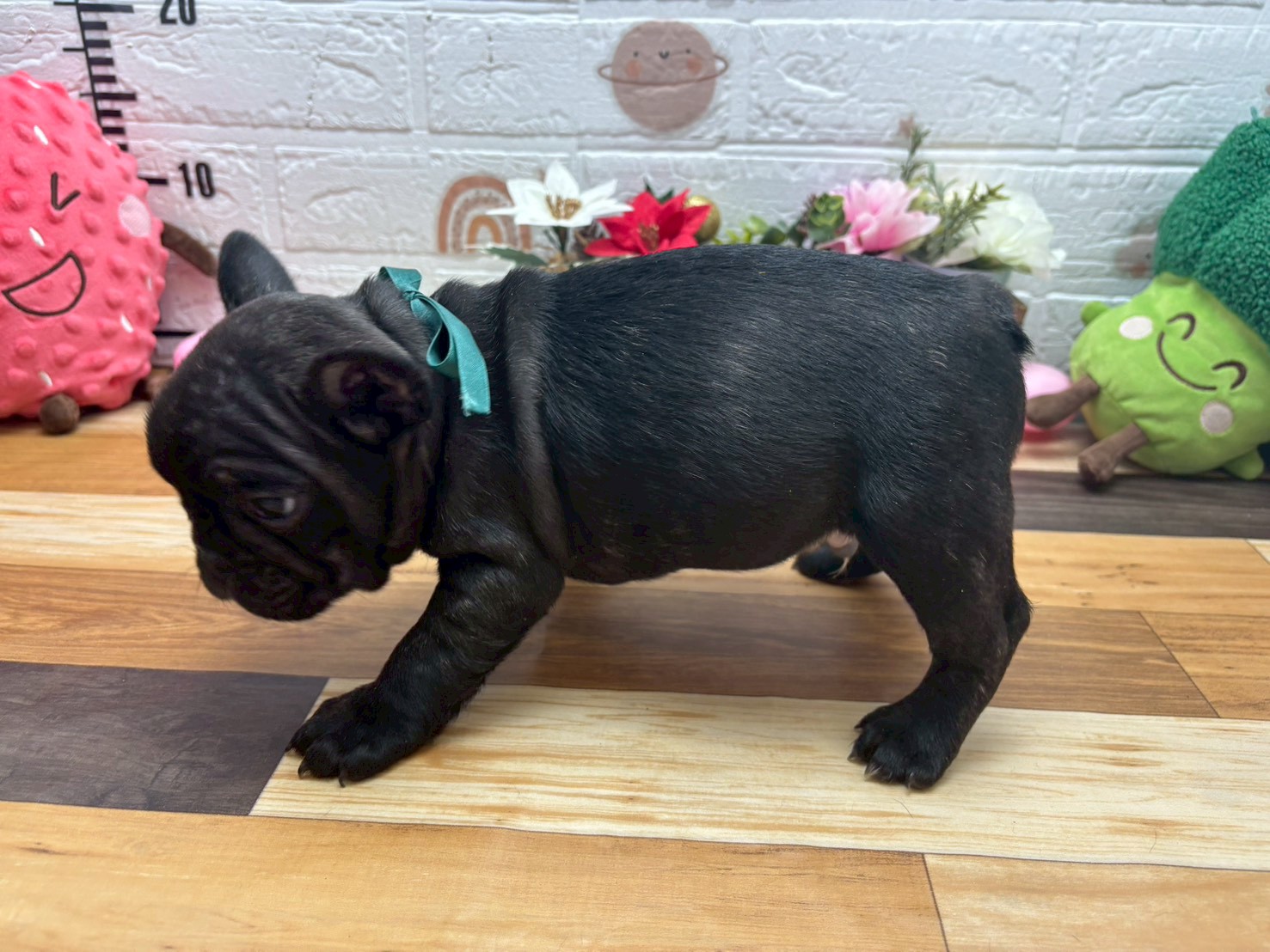 赤ちゃん写真3-2