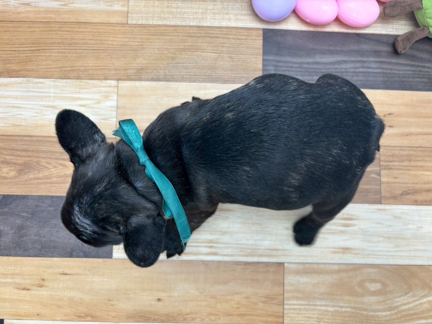 赤ちゃん写真3-3