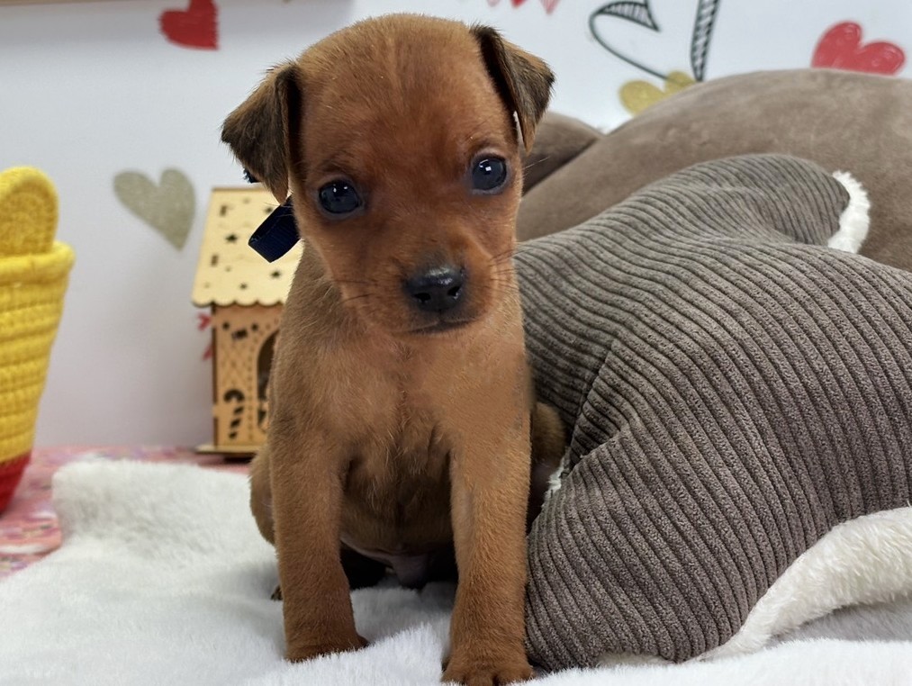 赤ちゃん写真1-1