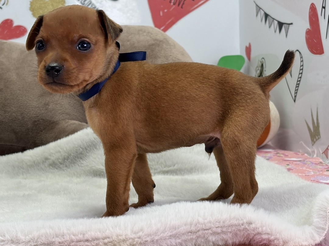 赤ちゃん写真1-2