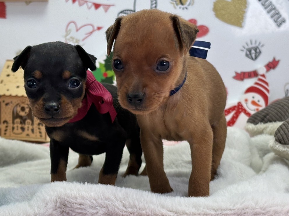 赤ちゃん写真1-3