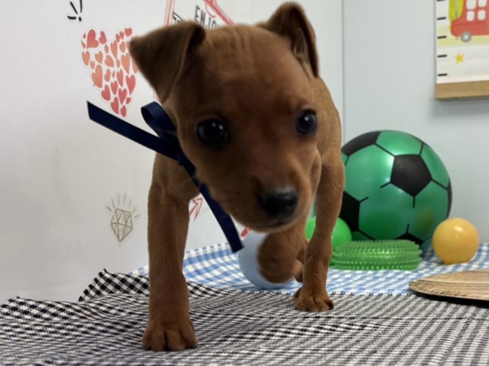 赤ちゃん写真2-1