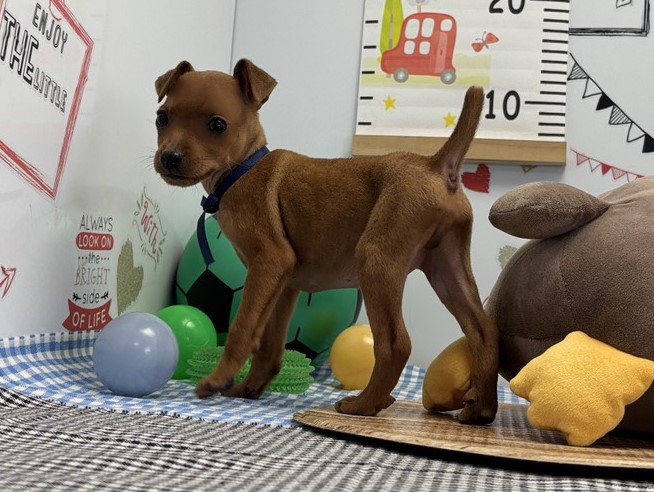 赤ちゃん写真2-2