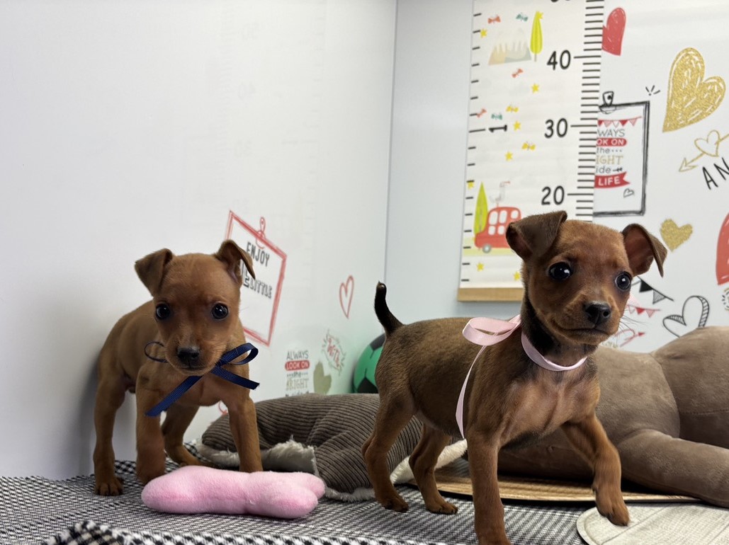 赤ちゃん写真2-3