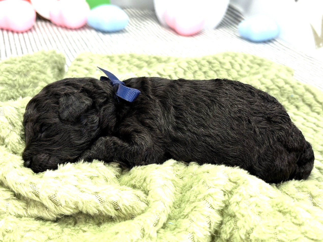 赤ちゃん写真1-2
